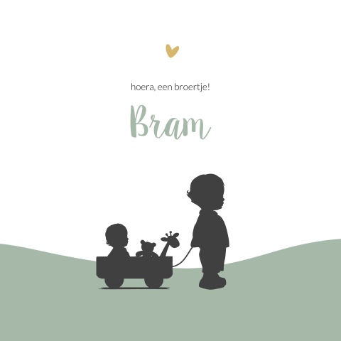 Geboortekaartje silhouet van een broer met een broertje in de kar