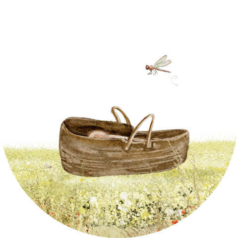 Sticker geboortekaartje babymandje in het gras met een libelle