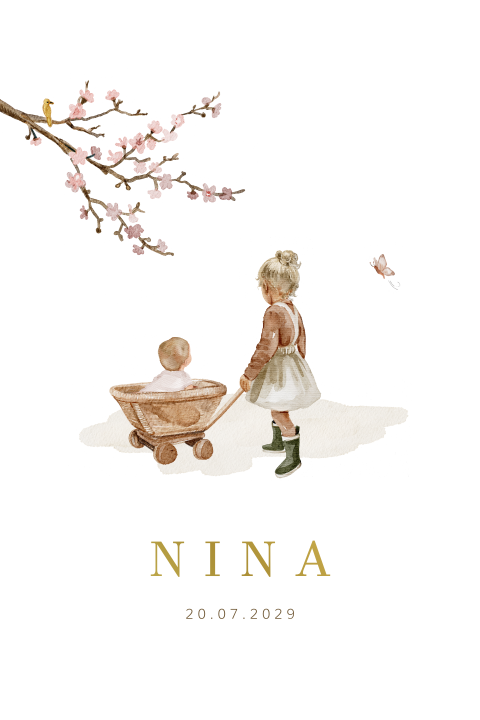 Geboortekaartje zus bij bolderkar baby goudfolie vlinder