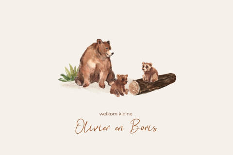 Lief tweeling geboortekaartje met mama beer en twee kleine beren