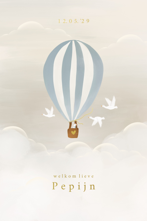 Geboortekaartje luchtballon blauw gansjes