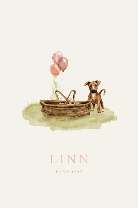Geboortekaartje getekend baby in mandje met hond en ballonnen