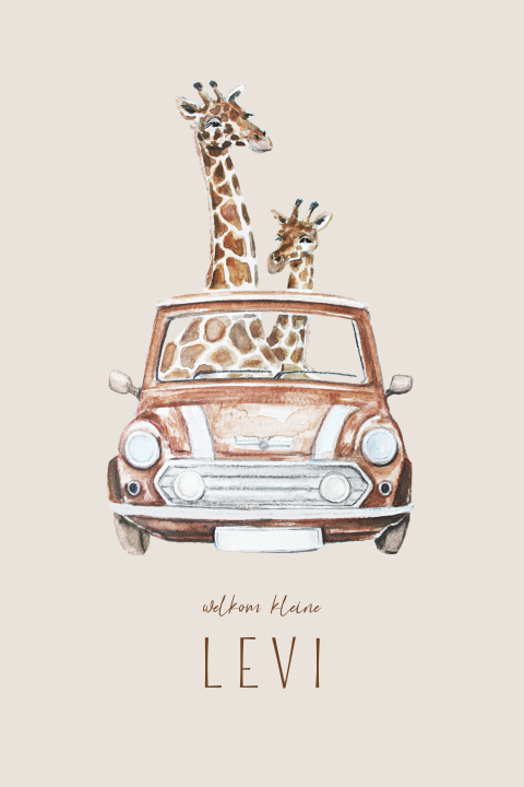 Uniek geboortekaartje met giraffen in een minicooper