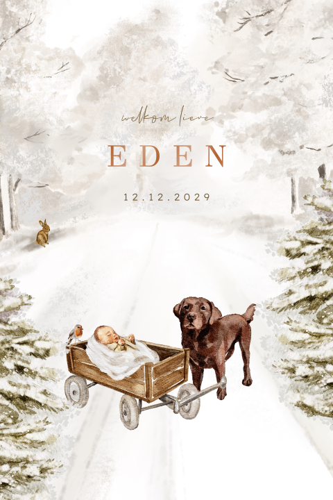 Unisex geboortekaartje winter illustratie bos met baby en labrador