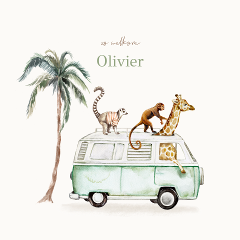 Geboortekaart groen busje met jungledieren giraffe maki aap
