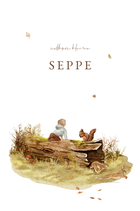 geboortekaartje zoon herfst boomstam hazen illustratie