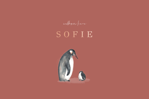 Geboortekaartje winter in roestroze en pinguïn met kleintje