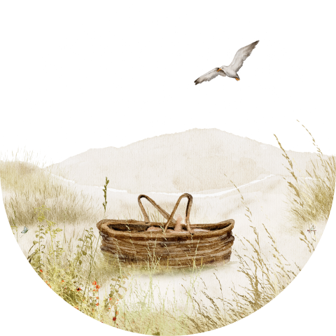 Sluitsticker zomer geboortekaartje baby in duinen