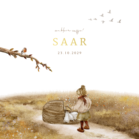 Geboortekaartje zusje herfst met baby mandje getekend