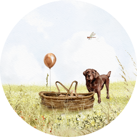 Sticker geboorte babymandje ballon labrador libelle