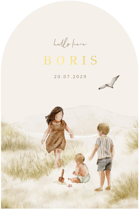 Geboortekaartje broertje derde kind met boogvorm en illustraties zomer