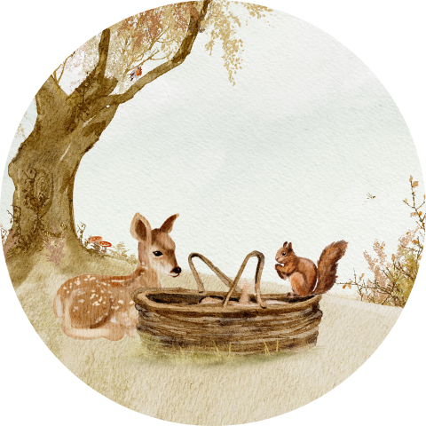 Sticker geboorte herfst baby mandje hert eekhoorn
