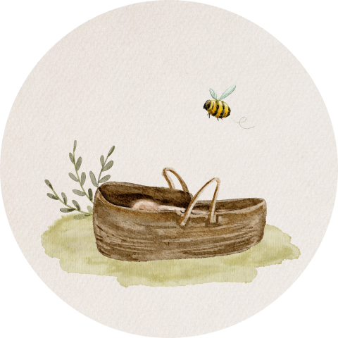 Sluitzegel geboorte baby mandje takje bijtje