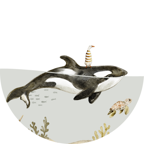 Unieke sluitsticker geboortekaartje orka waterdieren