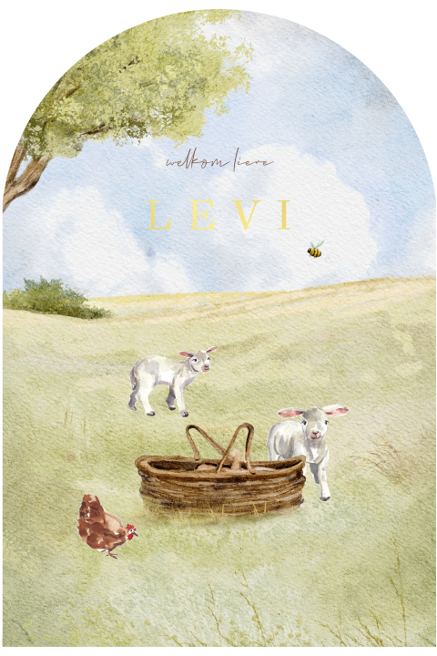 Lente geboortekaartje lammetjes wei boogvorm baby mandje
