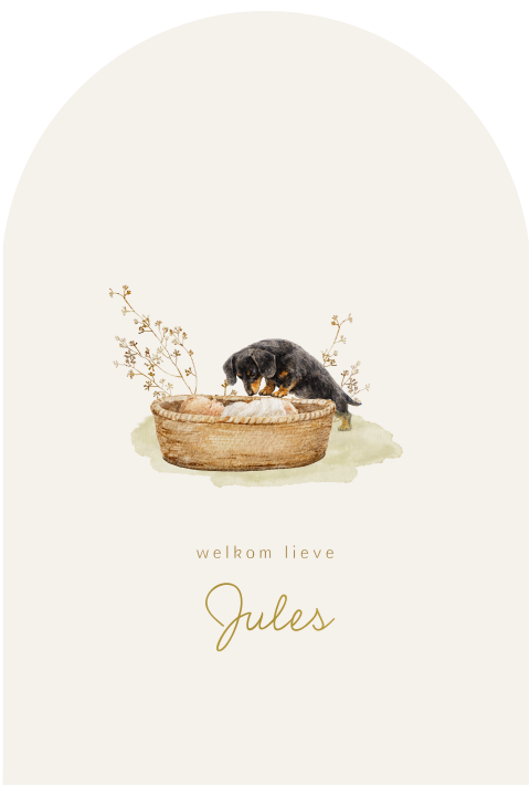 Neutraal geboortekaartje met teckel bij mandje baby