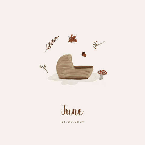 Geboortekaartje herfst baby mandje illustratie paddestoel