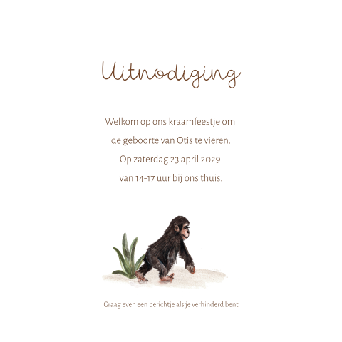 Vrolijke uitnodiging voor een kraamborrel met een aapje