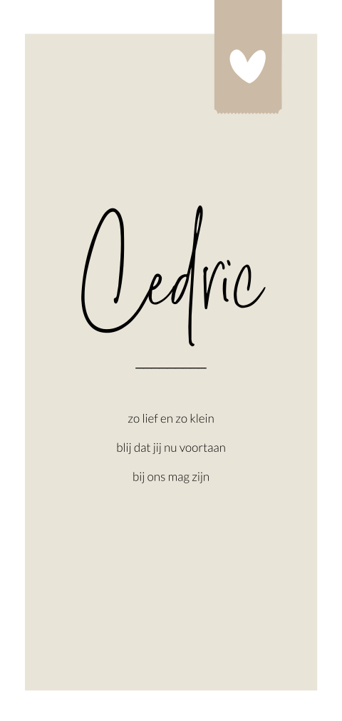 Langwerpig geboortekaartje jongen met een bruin label en hartje