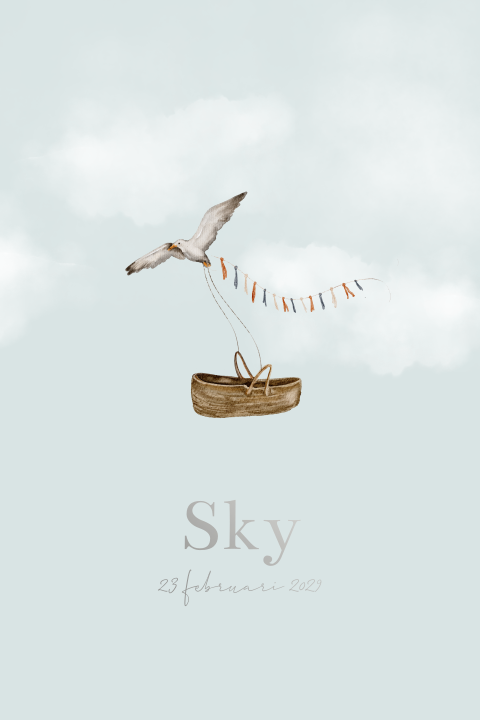 Geboortekaartje voor een jongen met vogel in lucht mandje en slingers