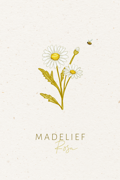 geboortekaartje geboortebloem april madeliefje handgetekend