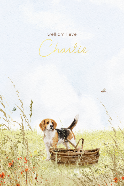 Geboortekaartje meisje met beagle huisdier zomer getekend