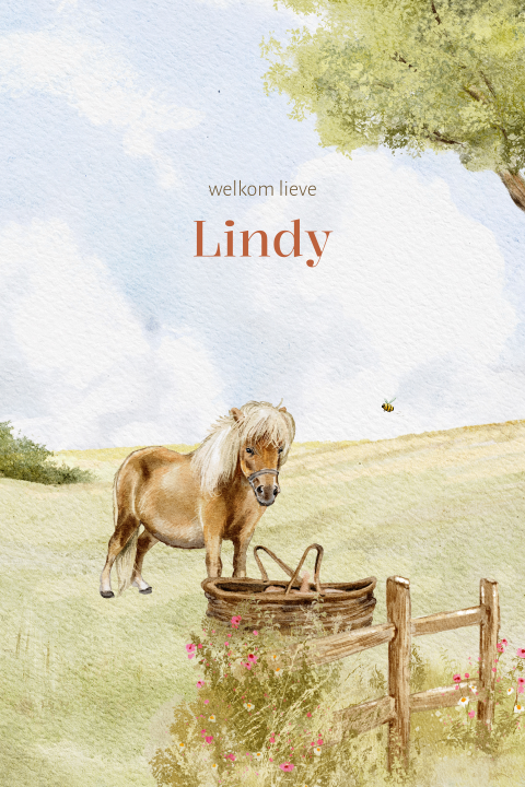Getekend geboortekaartje weiland Shetland pony bij baby