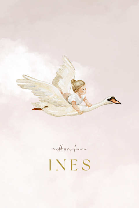 Dromerig geboortekaartje met een vliegende zwaan en baby meisje