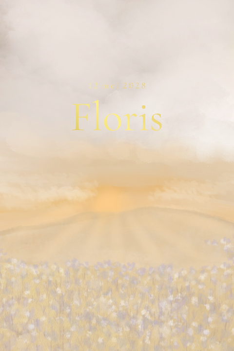 Geboortekaartje watercolor tekening zon en bloemen blauw