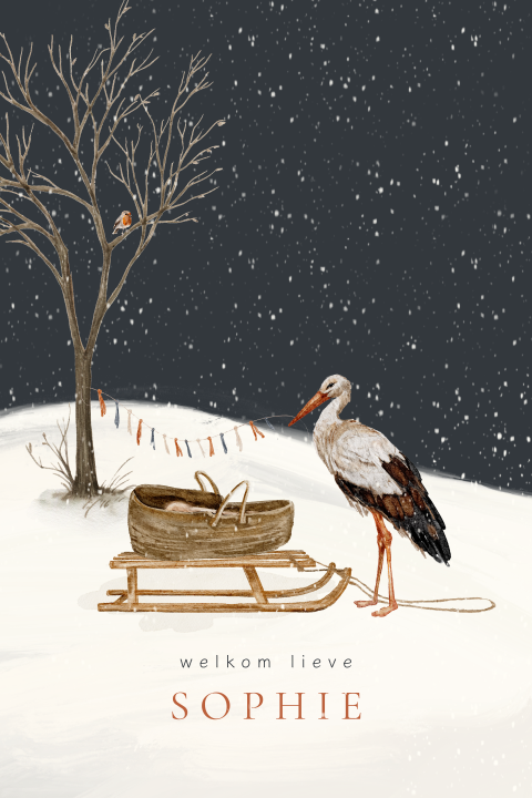 Getekend geboortekaartje winter slee slingers ooievaar