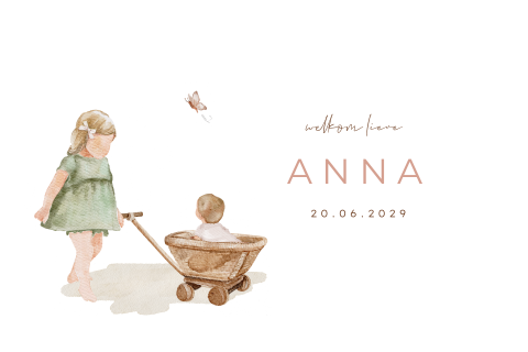 Geboortekaartje zusje meisje met baby in kar en vlinder