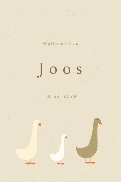 Geboortekaartje gansje familie jongen