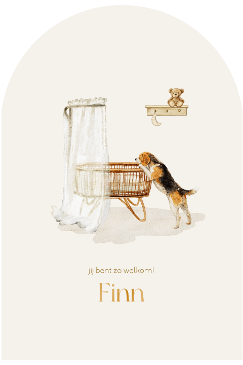 Geboortekaartje huisdier beagle staand kijkend in wieg
