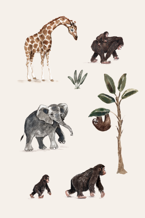 Wenskaart met illustratie van jungle dieren
