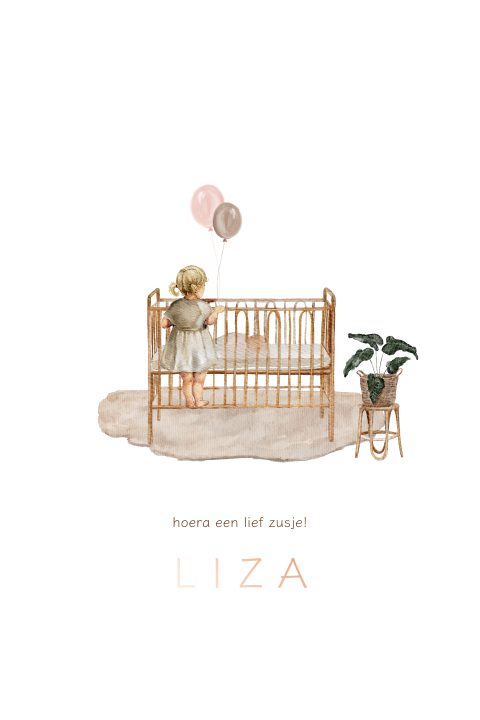 Lief geboortekaartje zusje ledikant ballonnen roze meisje