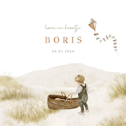 Getekend geboortekaartje broertje illustratie baby mandje vlieger