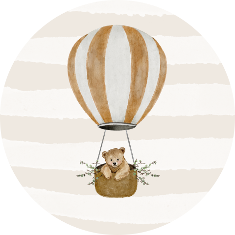 Sluitzegel jongen luchtballon beer