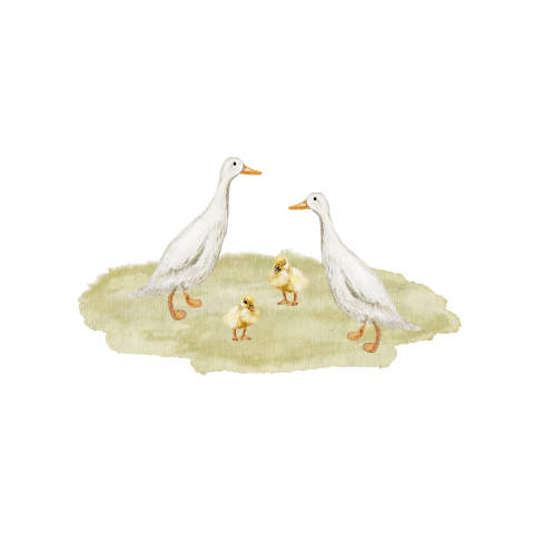 sluitsticker lente eendjes en kuikentjes