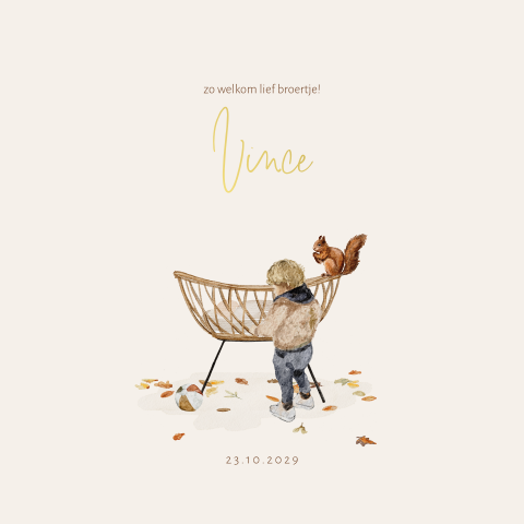 Geboortekaartje voor broertje met een baby in wiegje en een eekhoorn