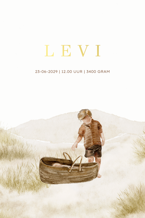 Poster geboorte broertje met zomer tafereel en duinen illustratie