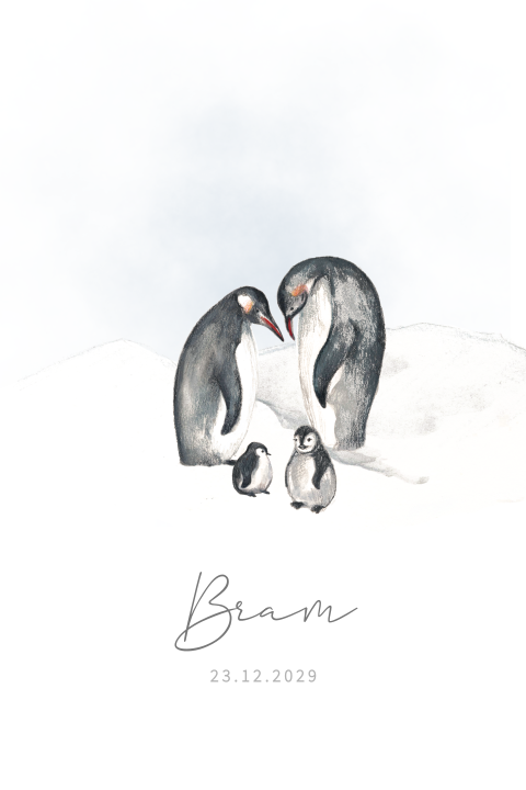 Winter geboortekaartje tweede kindje pinguïns sneeuw