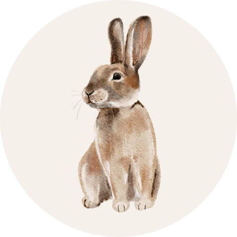 Sluitsticker voor een geboortekaartje met een getekend konijntje