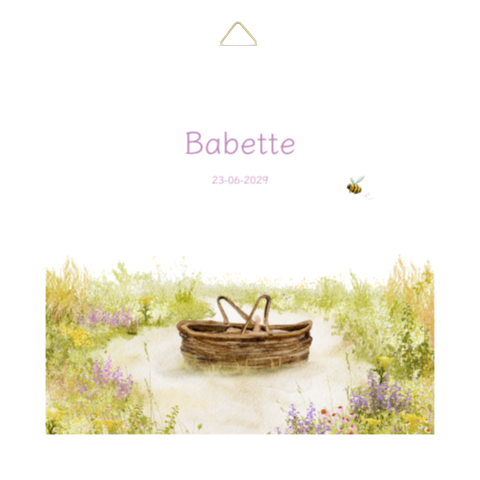Geboorte tegeltje met mandje en veldbloemen
