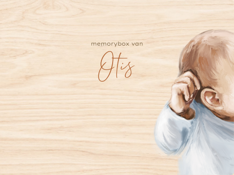 Memorybox jongen baby olieverf