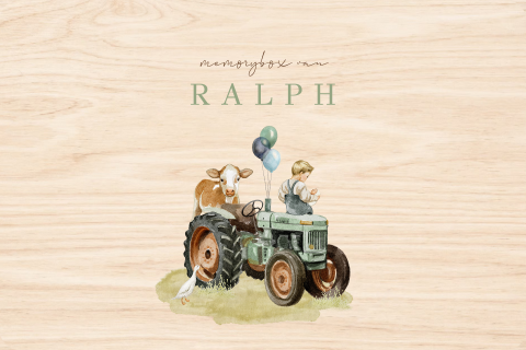 memorybox boerderij tractor koe broertje met baby 