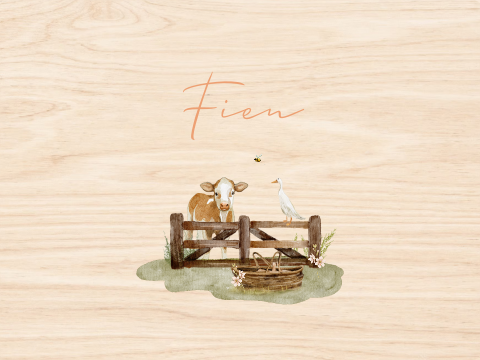 Memorybox boerderij lente koe baby meisje