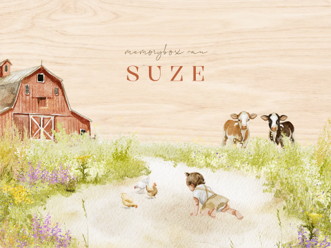 Memorybox boerderij koeien meisje gras lente