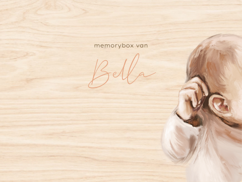 Memorybox meisje baby olieverf