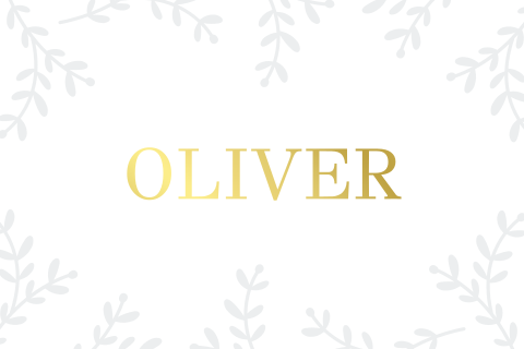 Liggend geboortekaartje met foliedruk en takjes