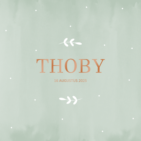 Geboortekaartje jongen met takjes en koperfolie